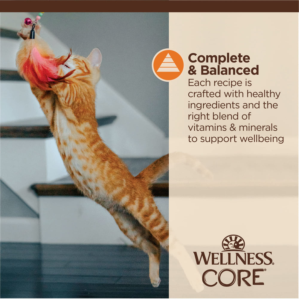 Wellness CORE Tiny Tasters lean meat close-up illustrates high-quality protein option