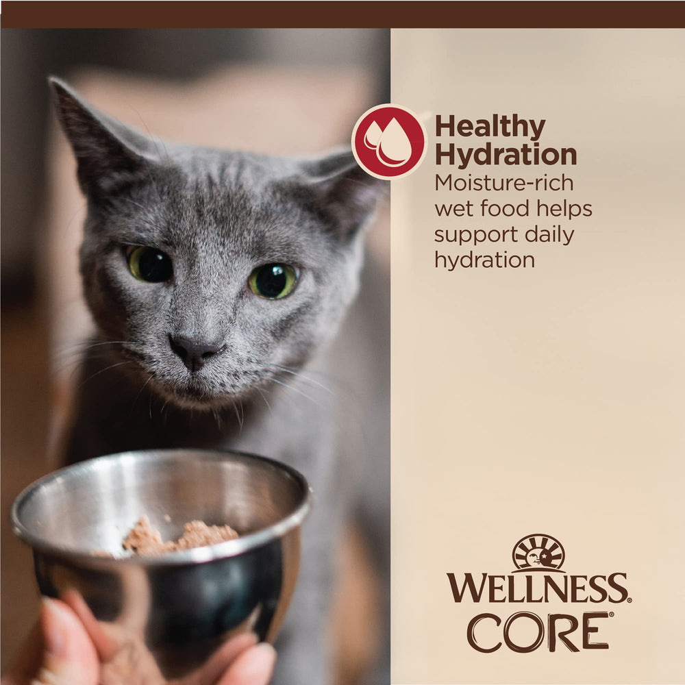Wellness CORE Tiny Tasters kitchen-scene shot showcasing ready-to-serve format.