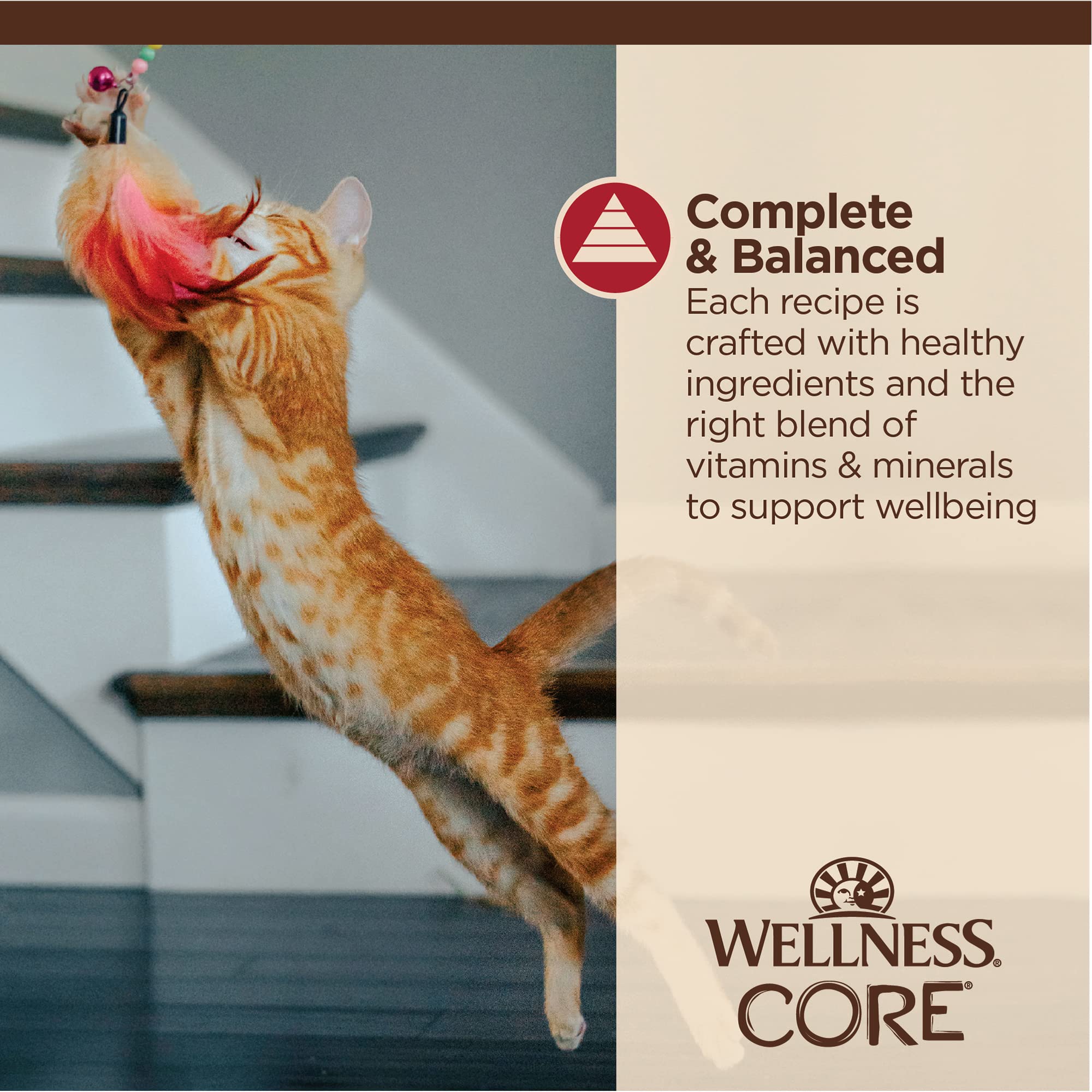 Wellness CORE Tiny Tasters serving bowl featuring moist, protein-rich cat meal.