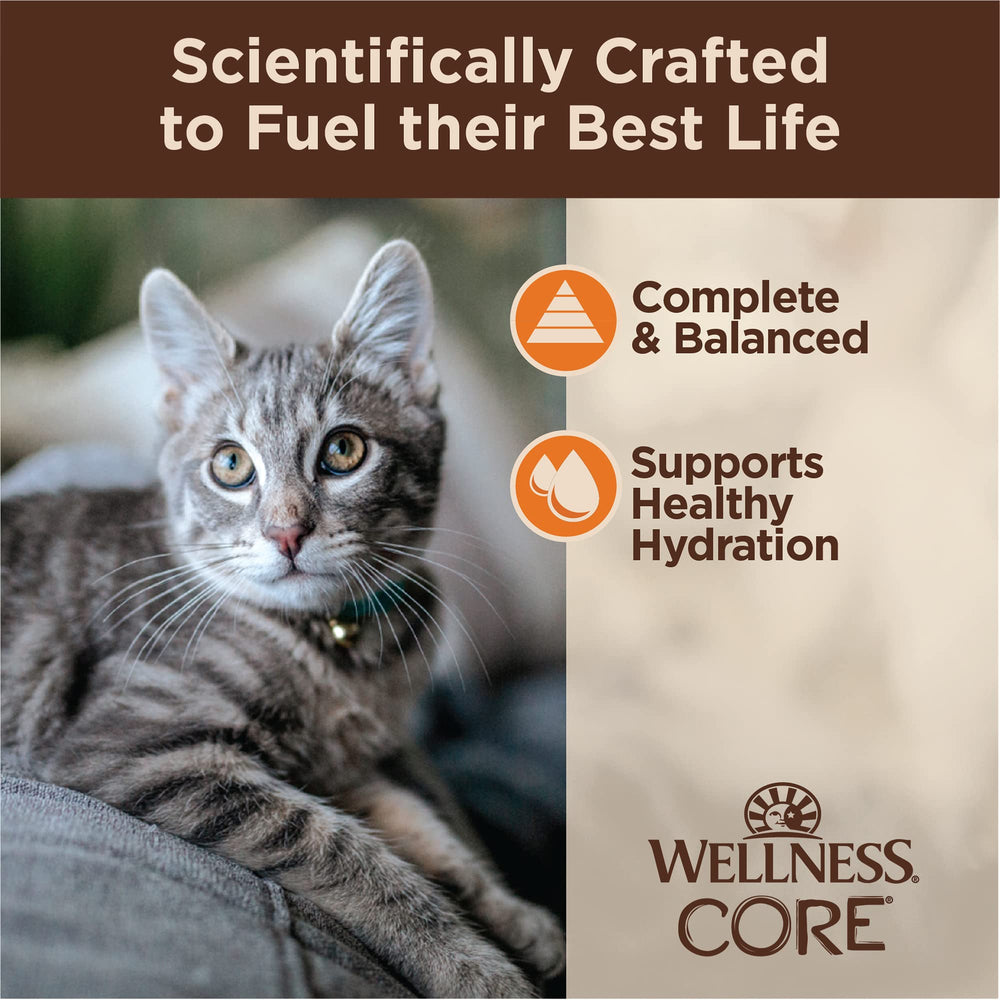 Wellness CORE Tiny Tasters natural ingredients close-up underlines lean meat quality