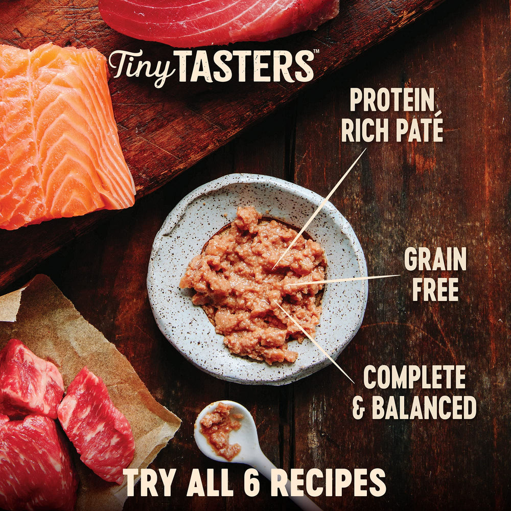 Wellness CORE Tiny Tasters Pate chicken and turkey close-up of smooth texture.