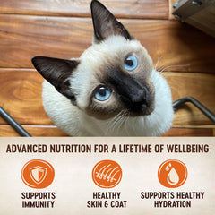 Wellness CORE Tiny Tasters Pate moisture-rich image showing glossy texture.