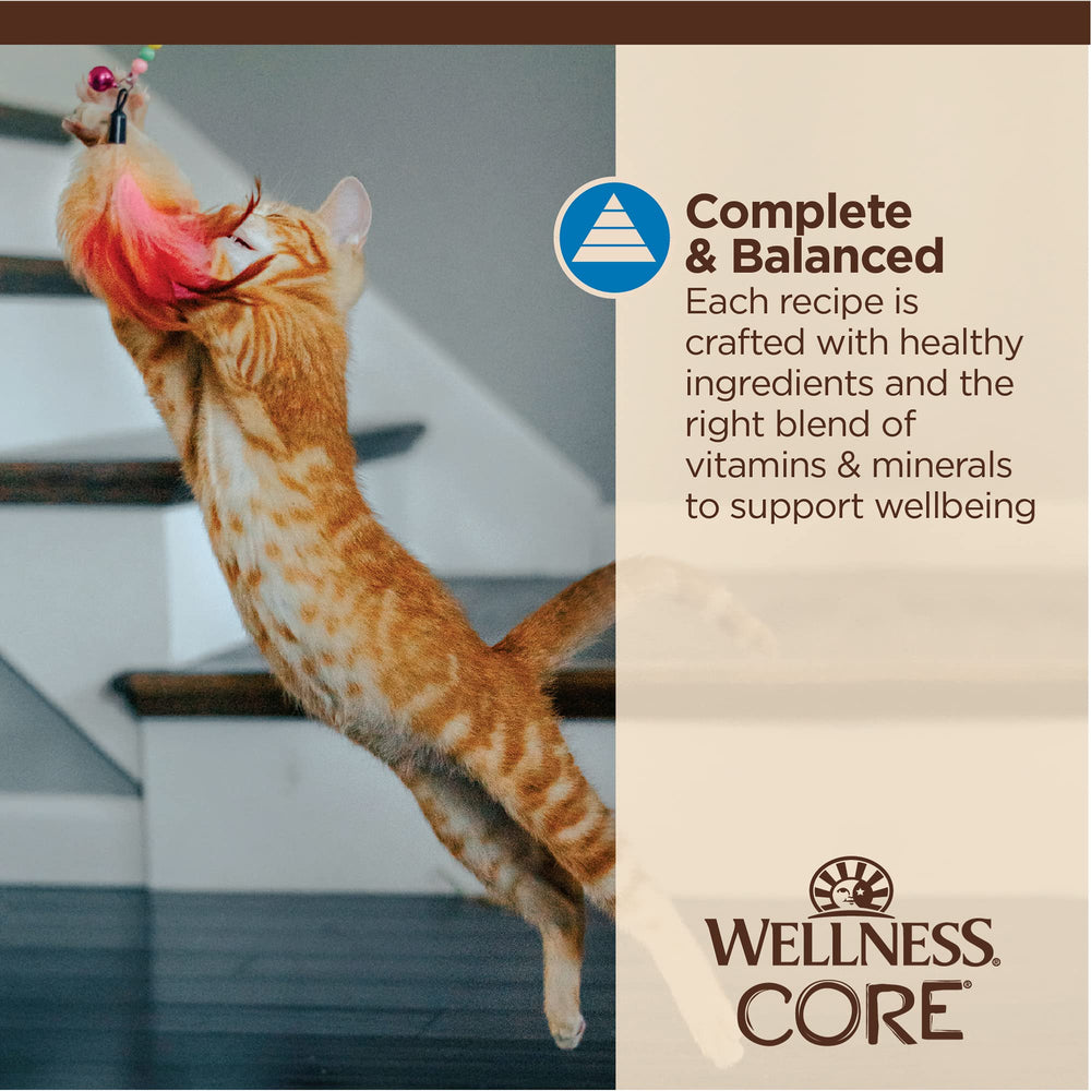 Wellness CORE Tiny Tasters serving-portions easy open pouches simplify mealtime