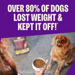 Close-up of Wellness CORE turkey-chicken kibble highlighting high-protein formula.