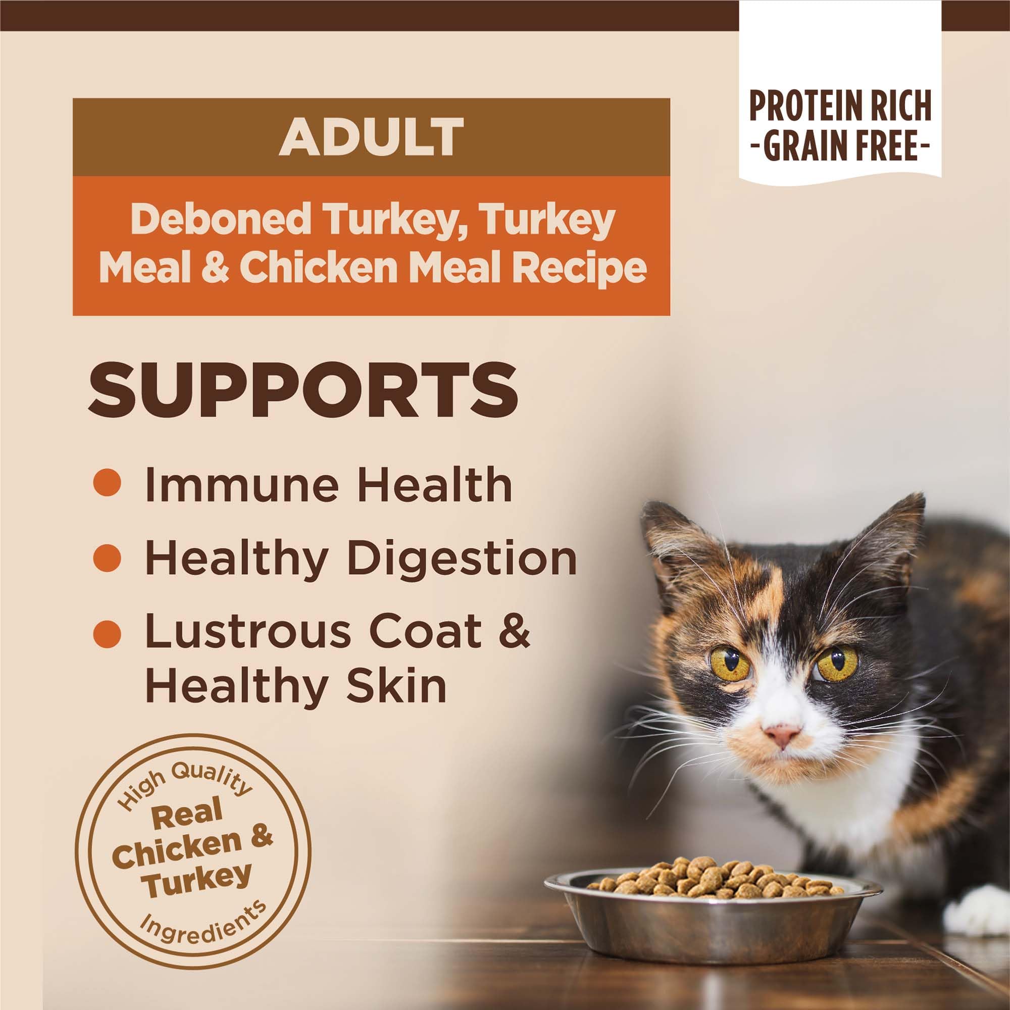 Wellness CORE turkey-meal-chicken kibble close-up highlighting grain-free formula.
