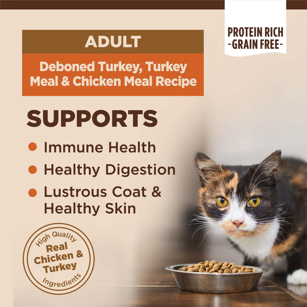 Wellness CORE turkey-meal-chicken kibble close-up highlighting grain-free formula.