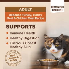 Wellness CORE turkey-meal-chicken kibble close-up highlighting grain-free formula.