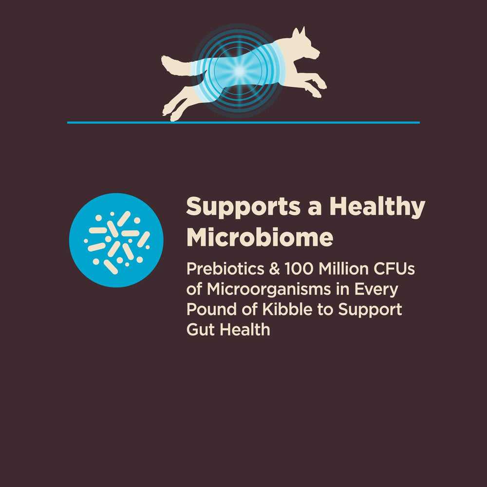 Wellness CORE whitefish ingredients highlighted for digestibility and energy.
