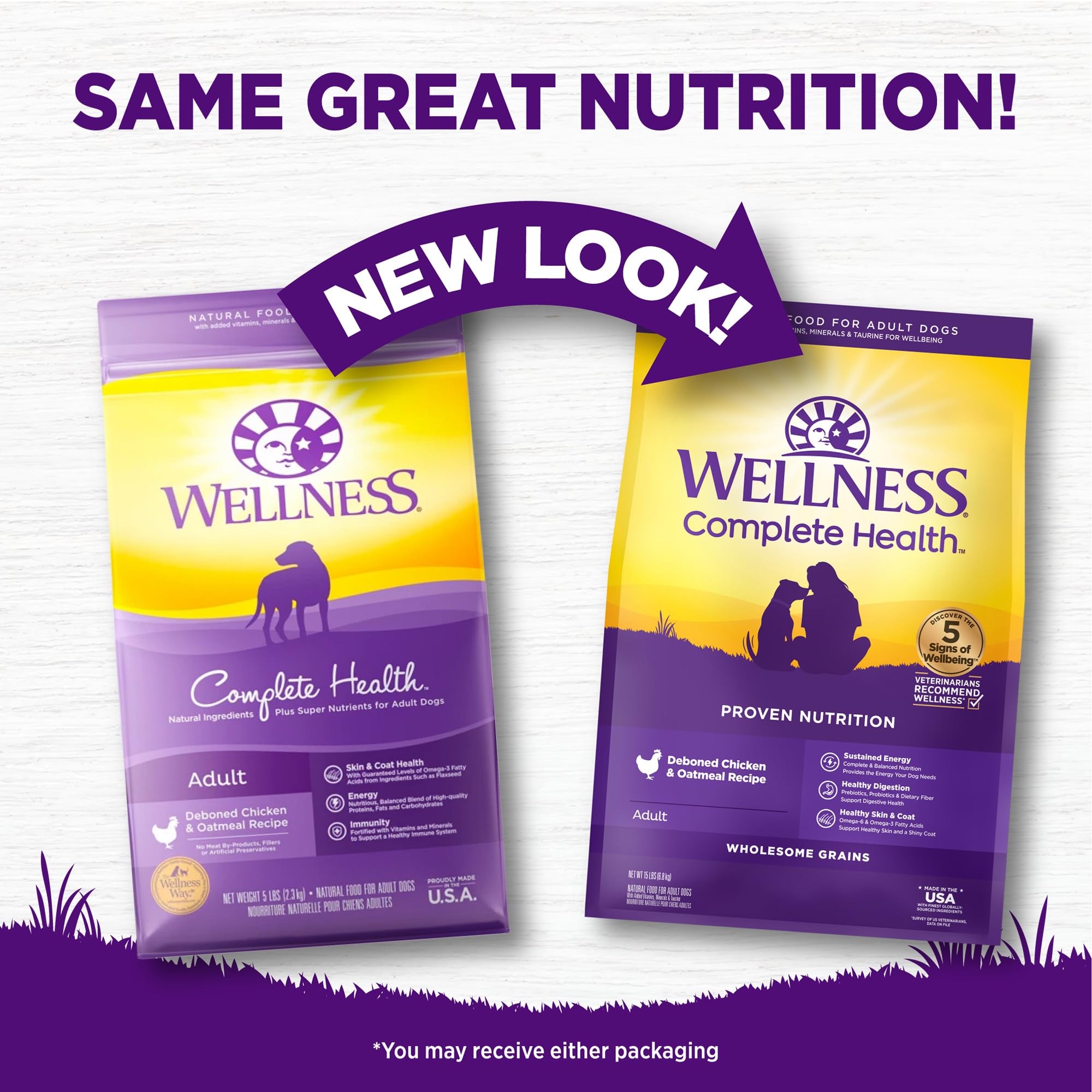 Wellness dog bowl with kibble ready for a wholesome daily meal, supporting a reliable feeding routine.