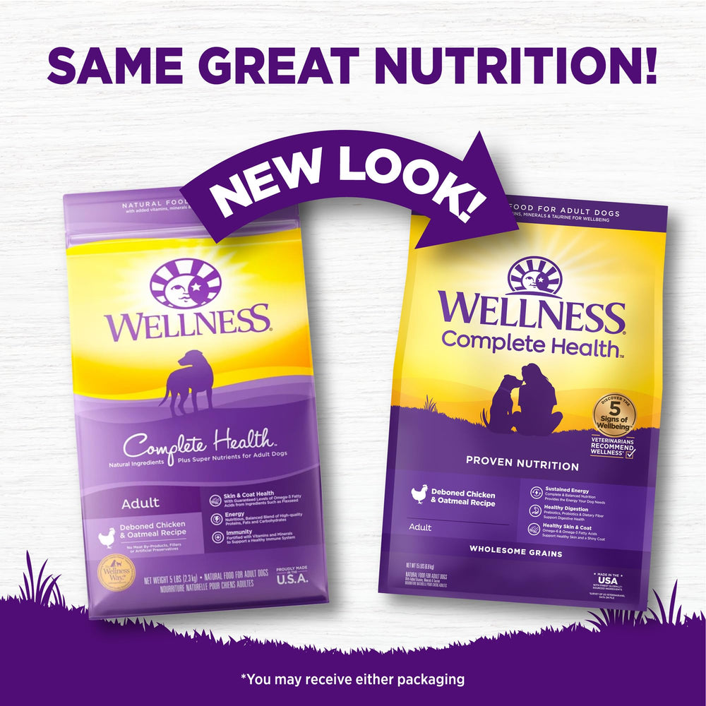 Wellness dog bowl with kibble ready for a wholesome daily meal, supporting a reliable feeding routine.