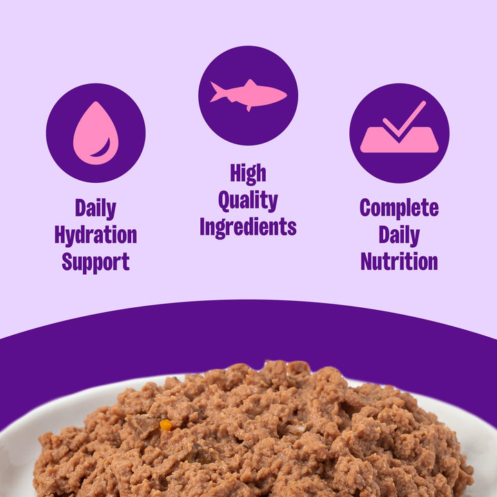 Wellness grain-free kitten pate close-up: protein-dense texture with real meat first.