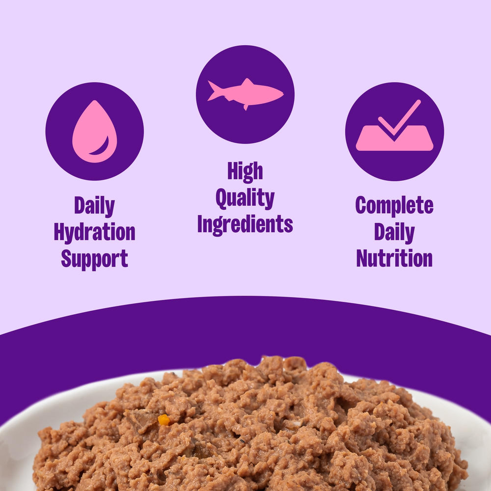 Wellness grain-free kitten pate close-up: protein-dense texture with real meat first.