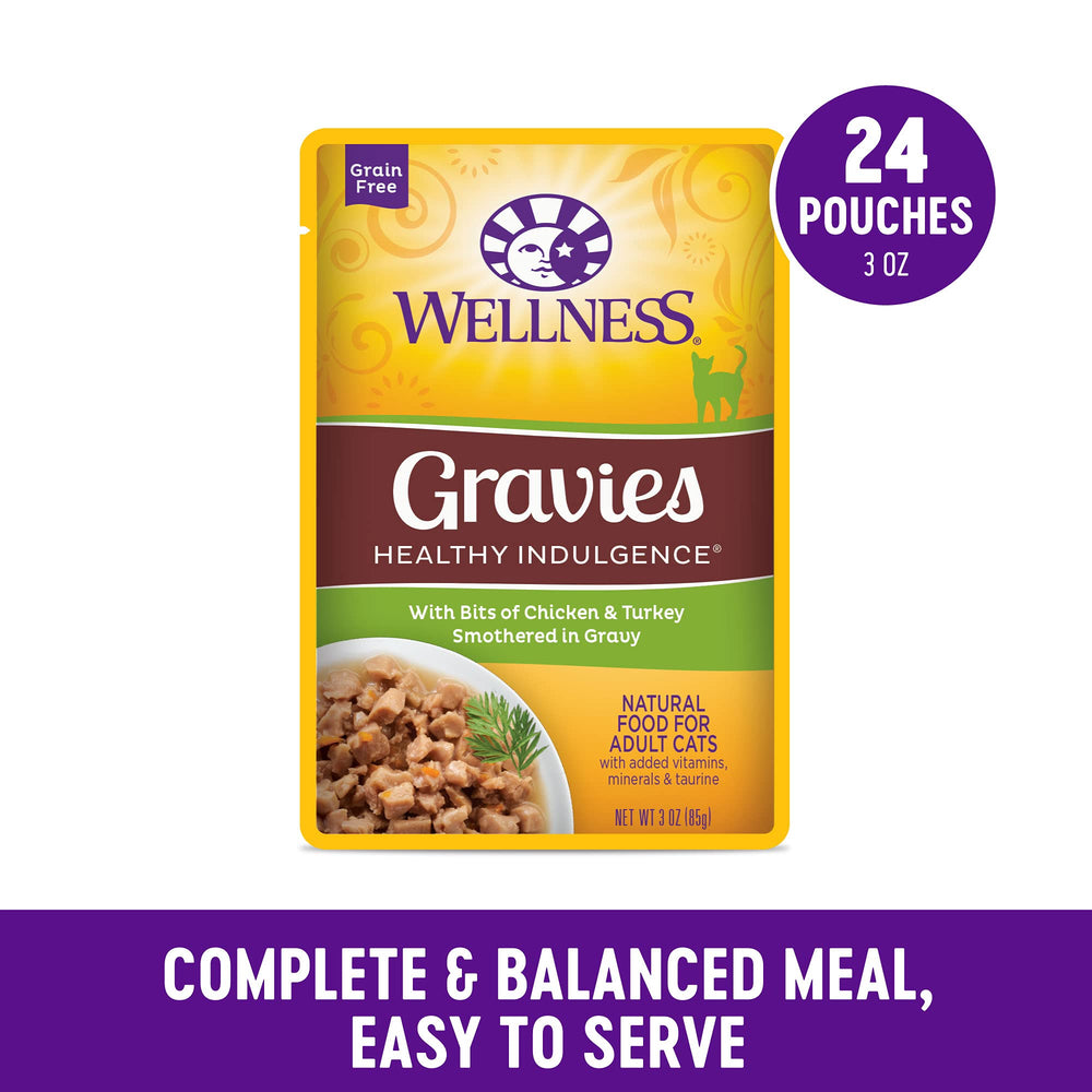 Wellness grain-free wet cat food bowl shows gravy-coated bites for hydration-friendly dining