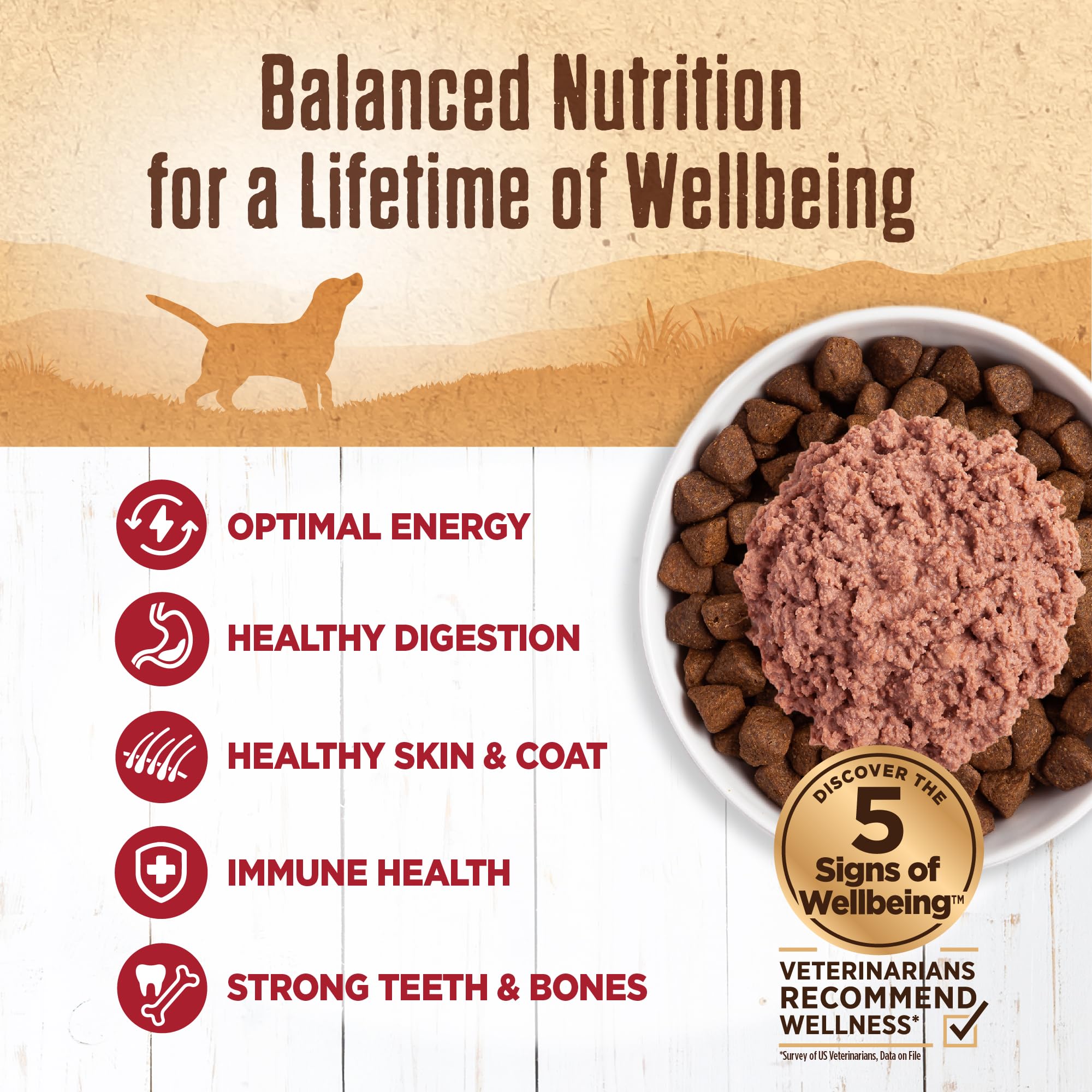 Wellness grain-free wet dog food in a bowl for convenience.