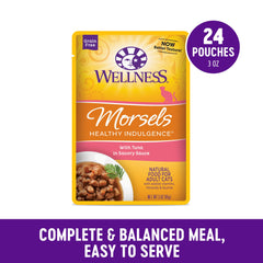 Cat enjoying Wellness Healthy Indulgence meal from a bowl.
