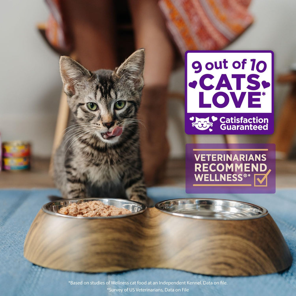 Wellness Healthy Indulgence Shreds grain-free formula supports digestion and hydration