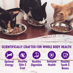 Wellness Healthy Indulgence Morsels ingredients blend showcases grain-free formula.