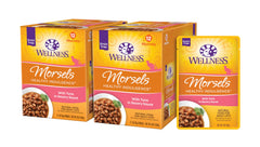 Wellness Healthy Indulgence Tuna Pouch on counter for easy, mess-free feeding.