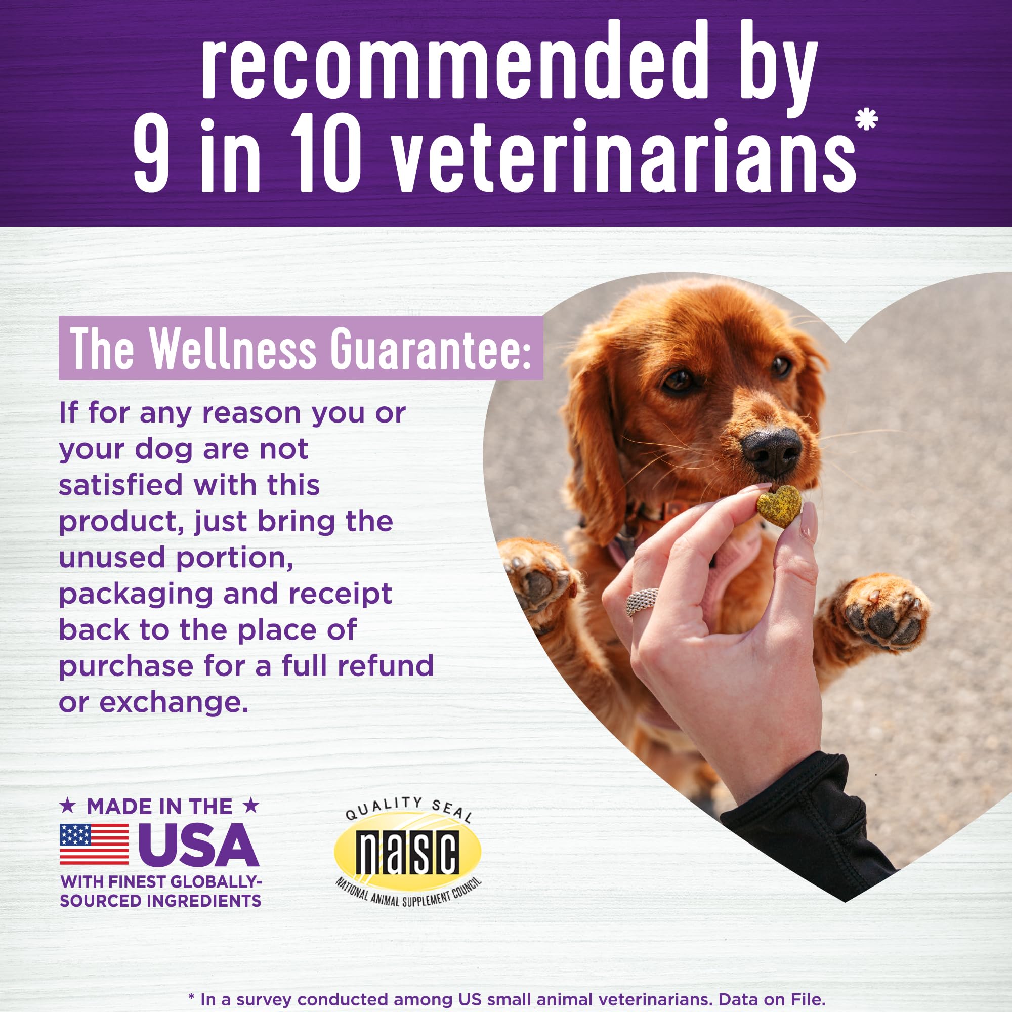 Wellnes hemp-free dog chews emphasizing clean ingredients.