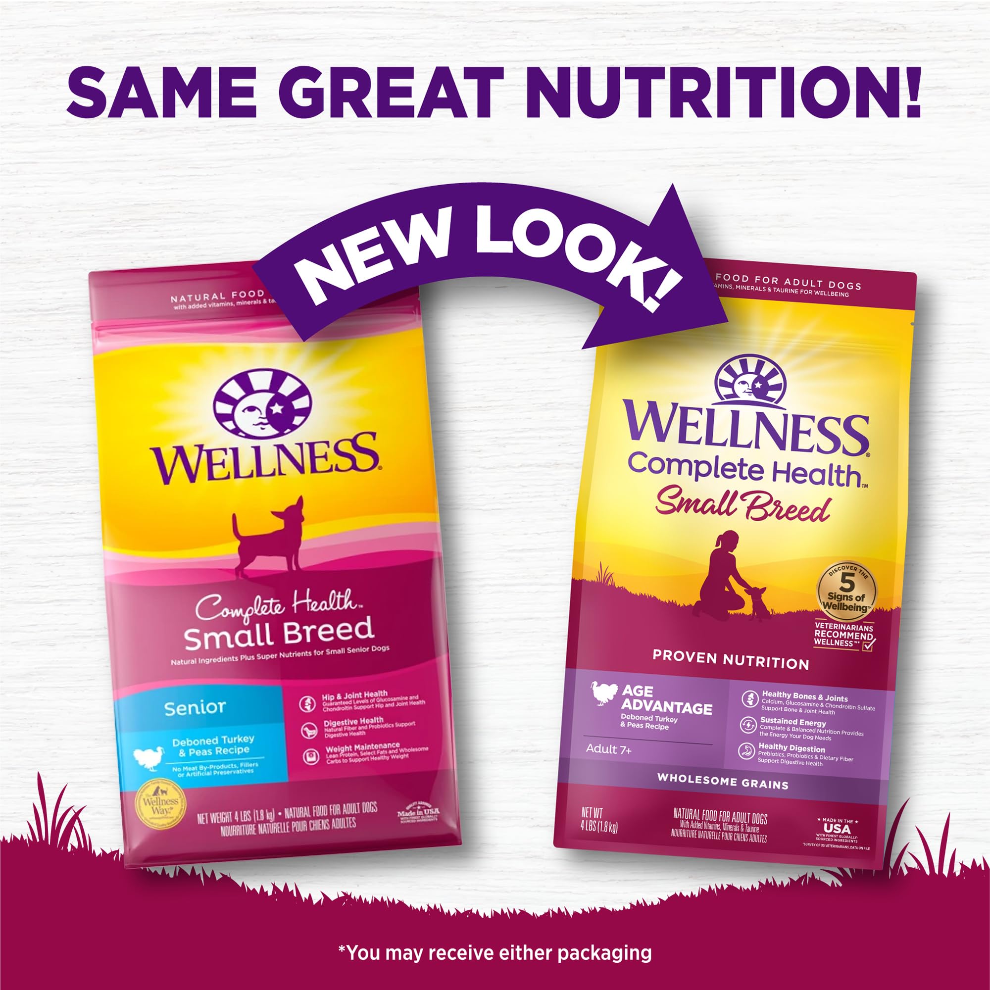 Wellness Complete Health Age Advantage bowl close-up shows protein rich turkey kibble.