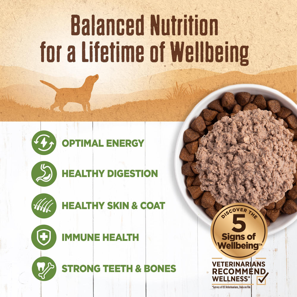 Wellness Lamb meat texture close-up highlights premium protein source.