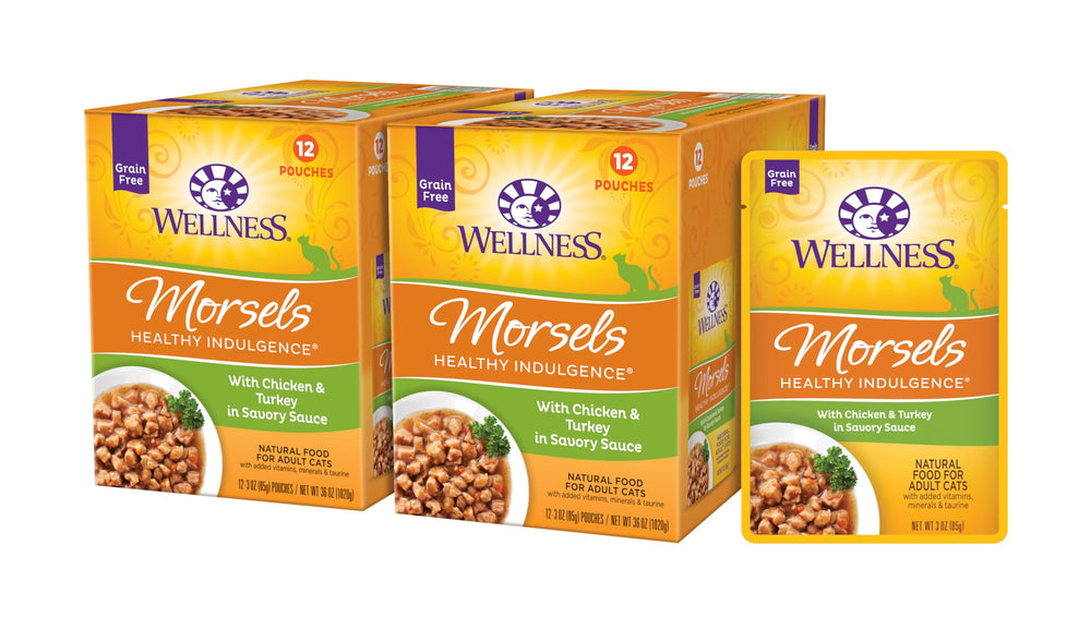 Wellness Healthy Indulgence Morsels pouch with chicken and turkey served, an easy protein-rich meal for cats.