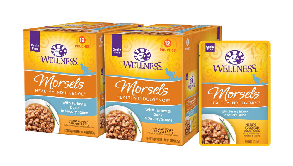 Wellness Healthy Indulgence Morsels turkey-duck 3oz pouch ready for convenient feeding.