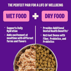 Wellness Natural Cat Premium pâté salmon and turkey 3oz pack shot highlights flavor variety.