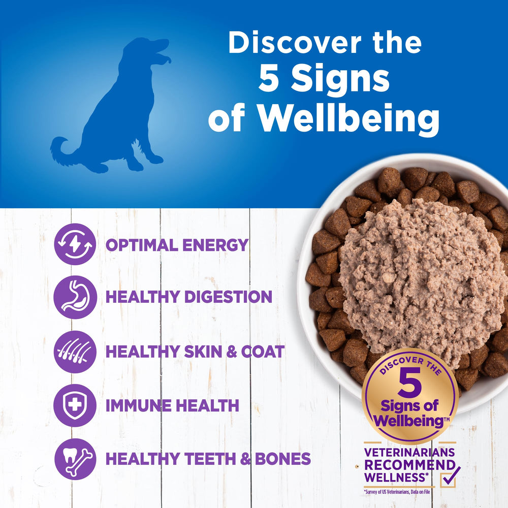 Wellness no-corn-wheat-soy label closeup underscores limited ingredients.