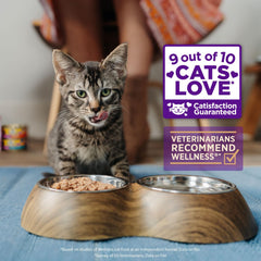 Wellness no-corn-wheat-soy pouch emphasizes grain-free formula with natural ingredients