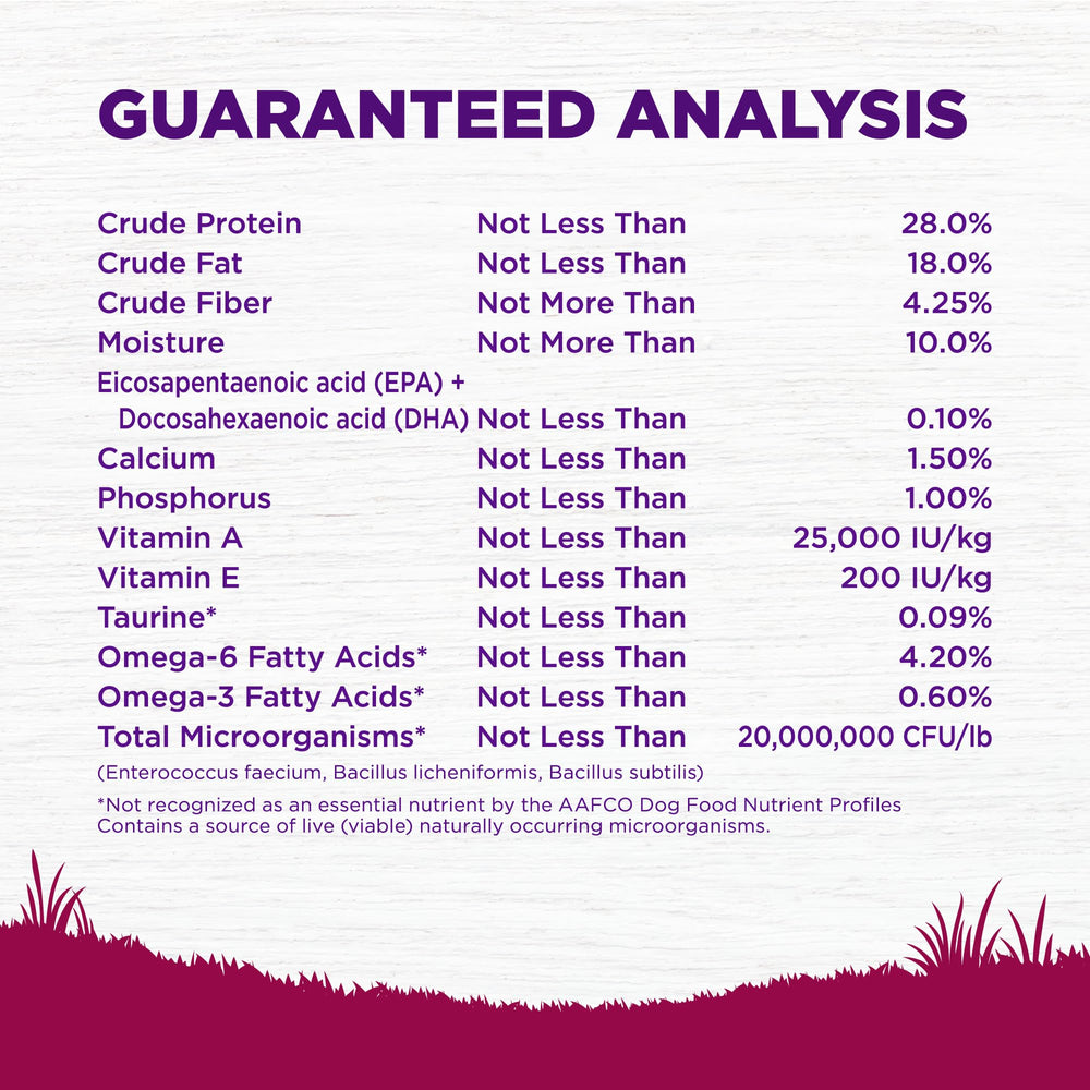 Wellness no-corn-wheat-soy formula emphasized for clean nutrition.