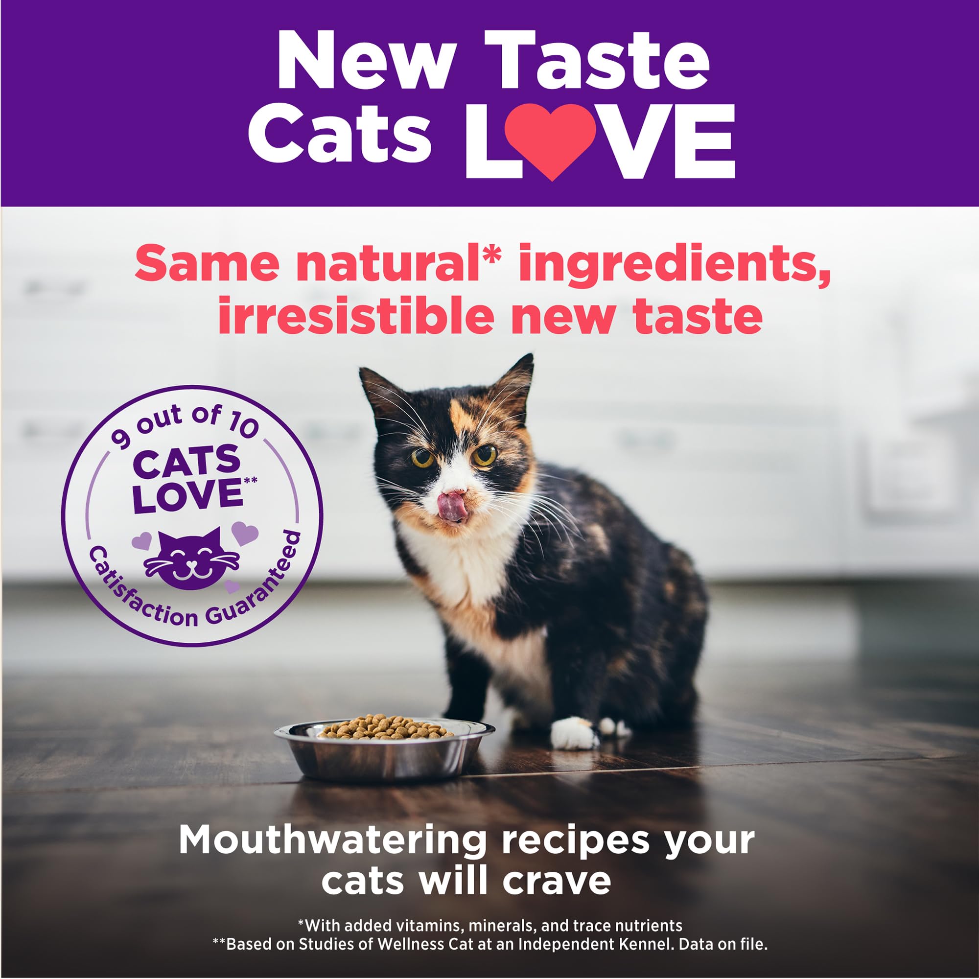 Wellness team of nutritionists and veterinarians behind the recipe