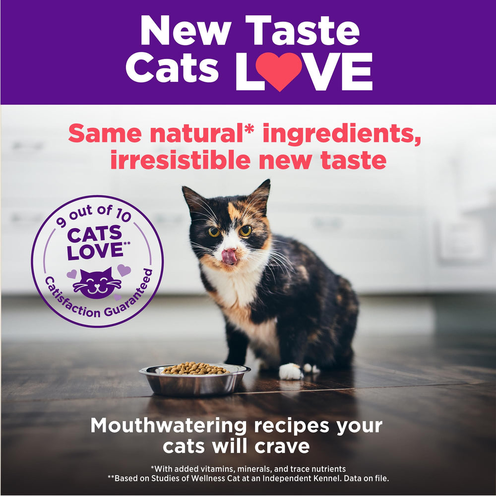Wellness team of nutritionists and veterinarians behind the recipe