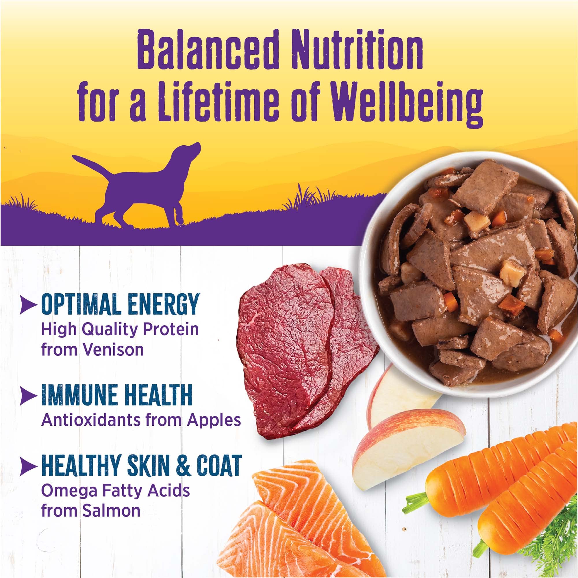 Salmon oil contributes omega fatty acids for coat health in Wellness stew.