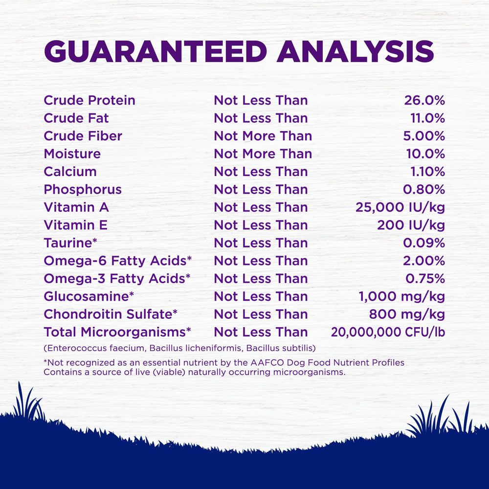 Omega fatty acids support healthy skin and shiny coat in Wellness kibble