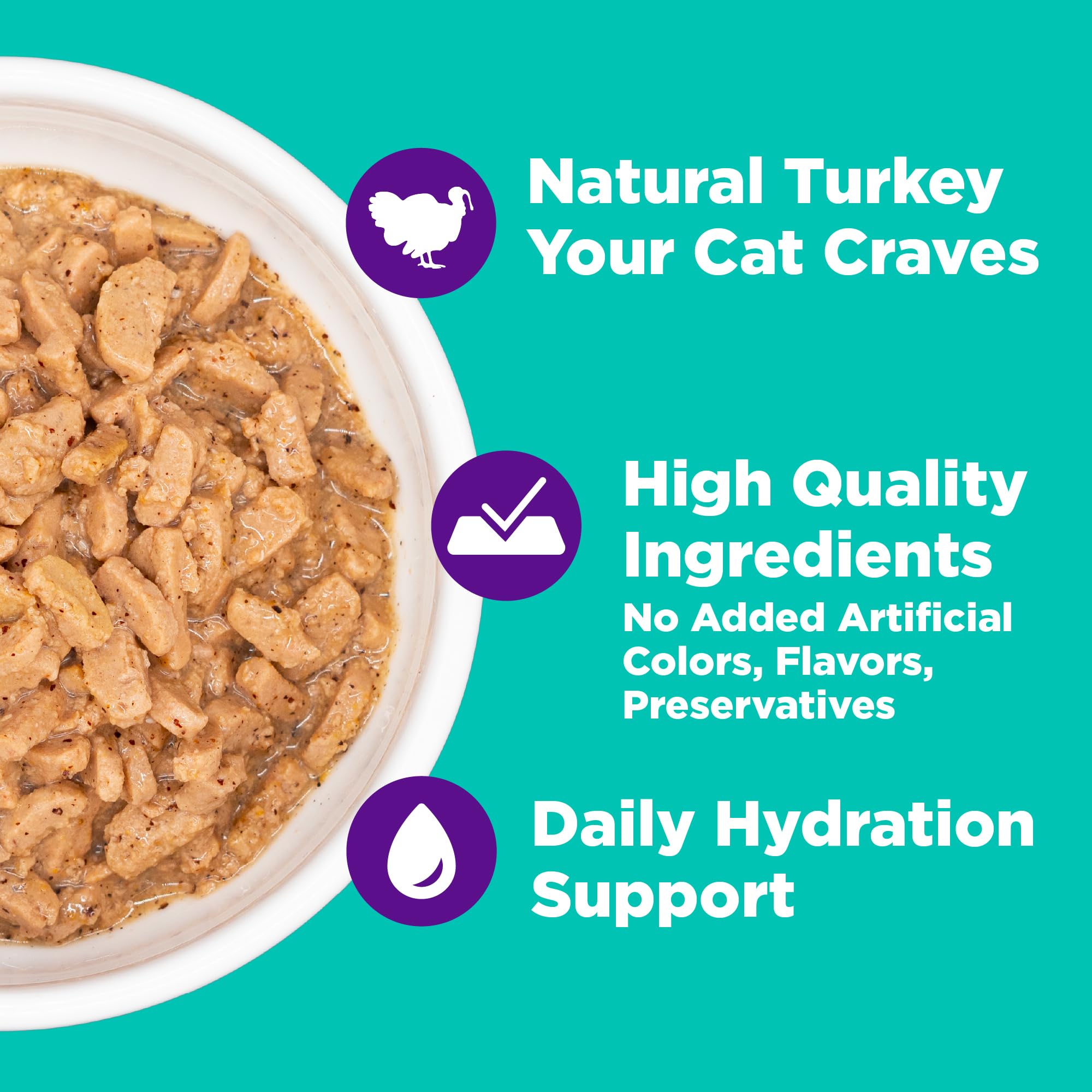 Wellness 12-pack of grilled turkey dinner wet cat food cans arranged for easy mealtime.