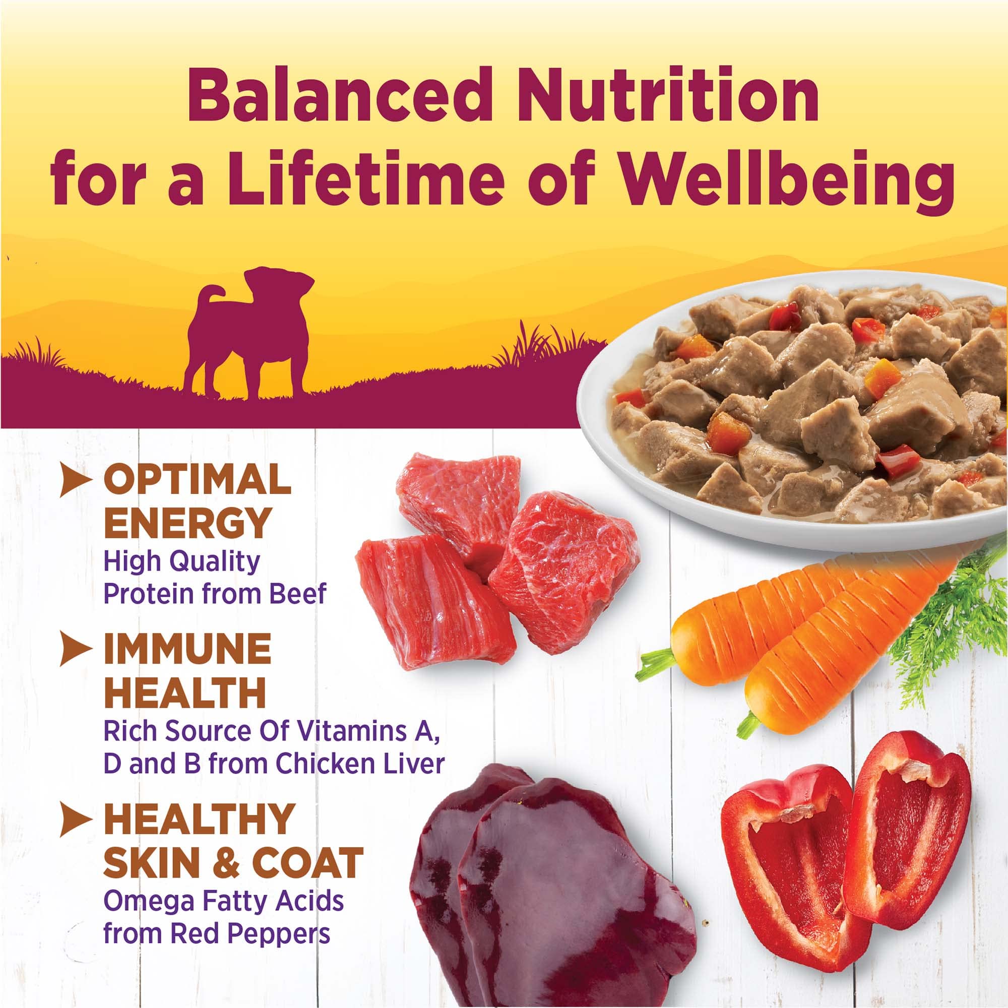 Wellness Petite Entrees Mini Fillets beef with carrots and red peppers for small breeds