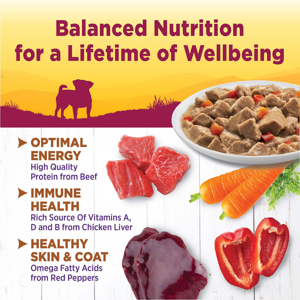 Wellness Petite Entrees Mini Fillets beef with carrots and red peppers for small breeds