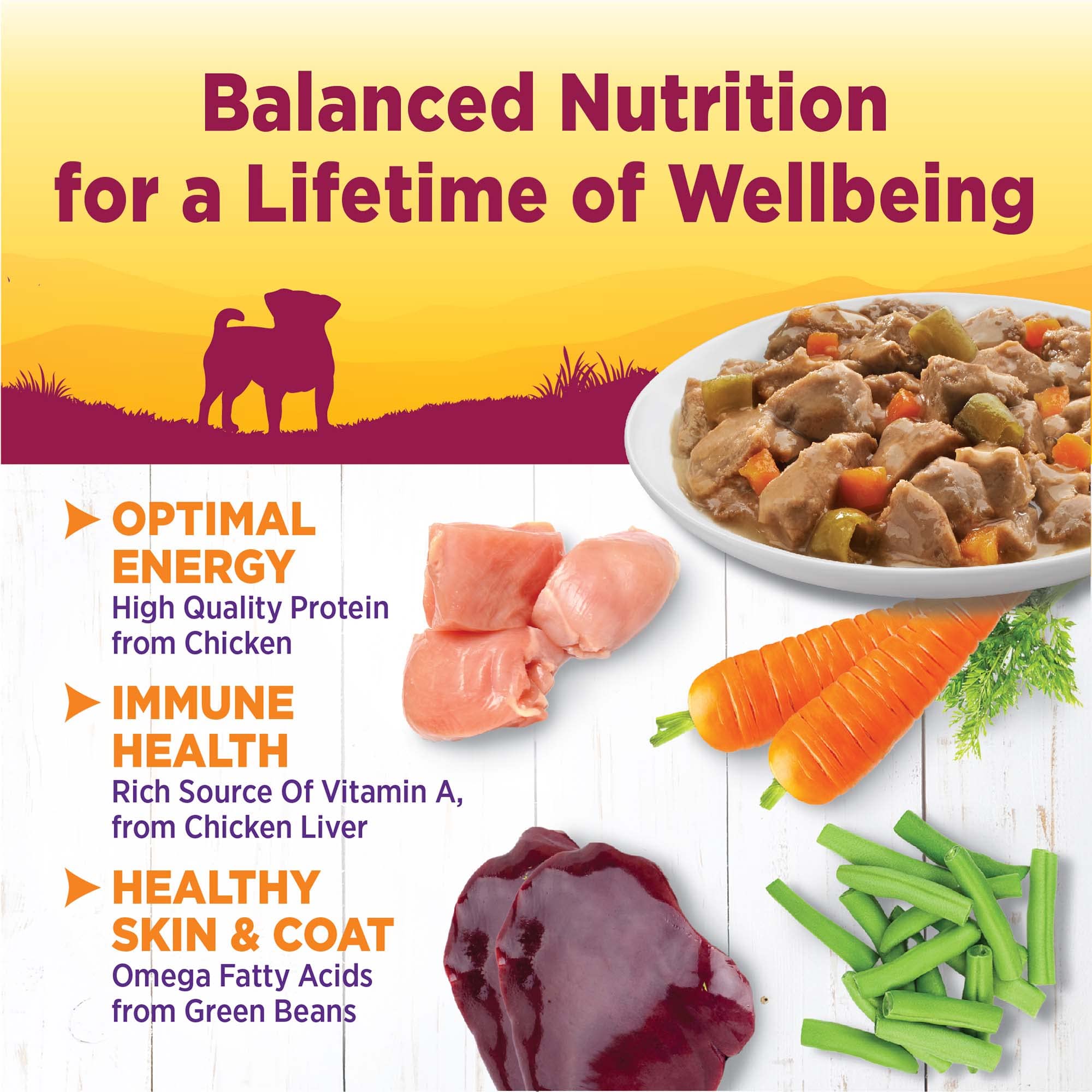 Wellness Petite Entrees beef fillets image highlighting savory bites for active small dogs.