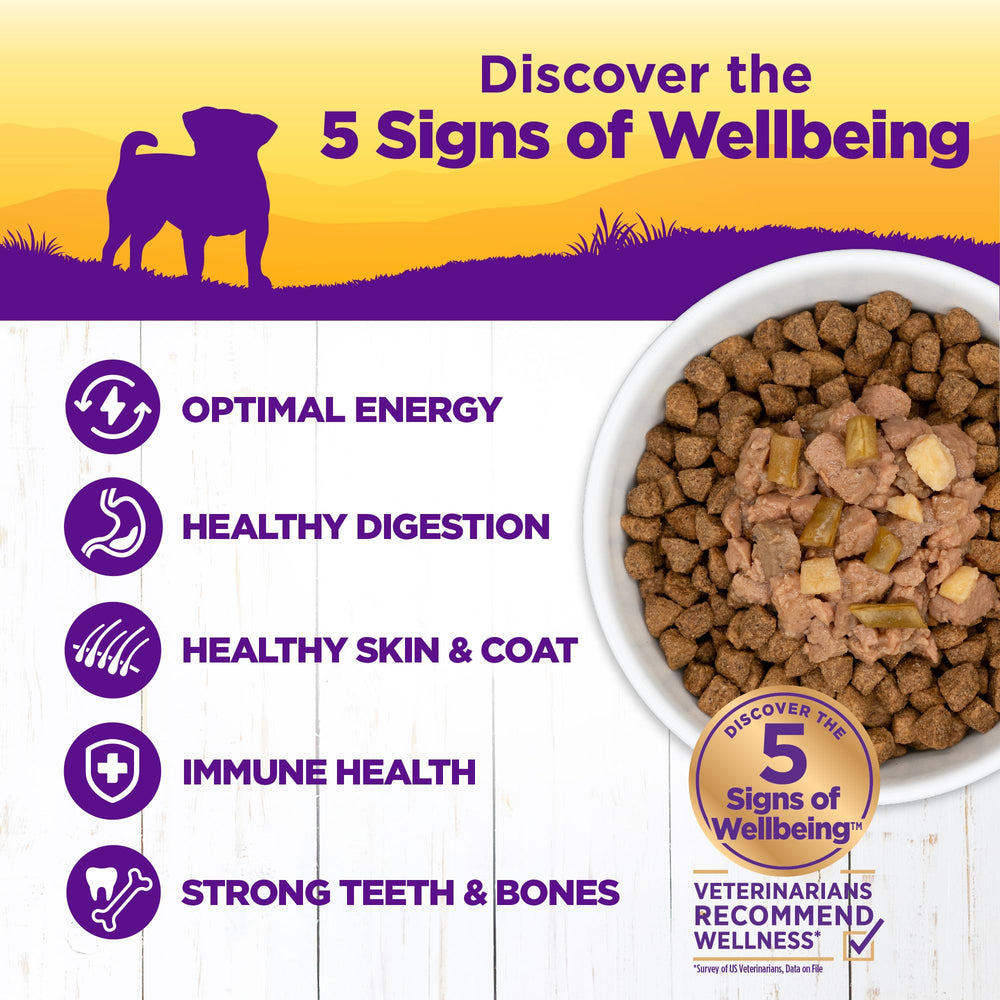 Wellness Petite Entrees Mini Fillets serving for small dogs highlights tender meat and veggies.