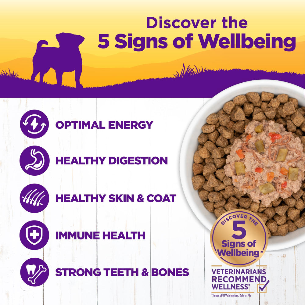 Wellness Petite Entrees vegetables in savory gravy support balanced small-dog nutrition.