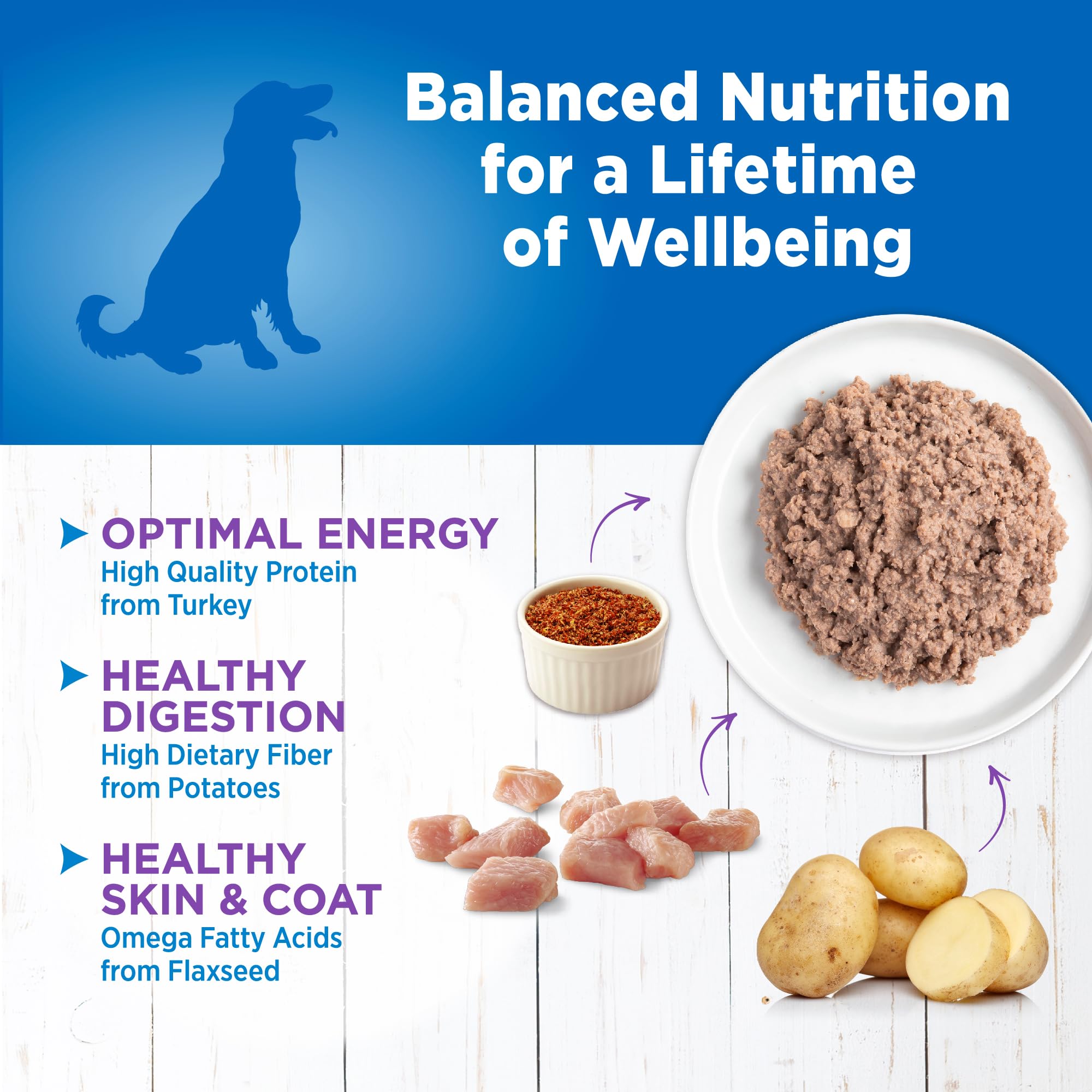 Wellness probiotic digestive health graphic emphasizes gut support for dogs.