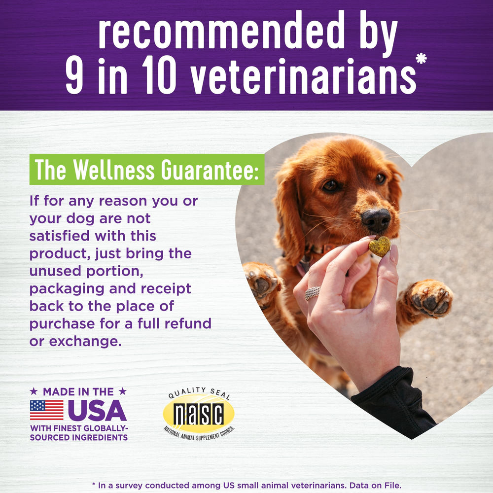 Dog enjoying Wellness Pumpkin Patch soft chews as daily treat