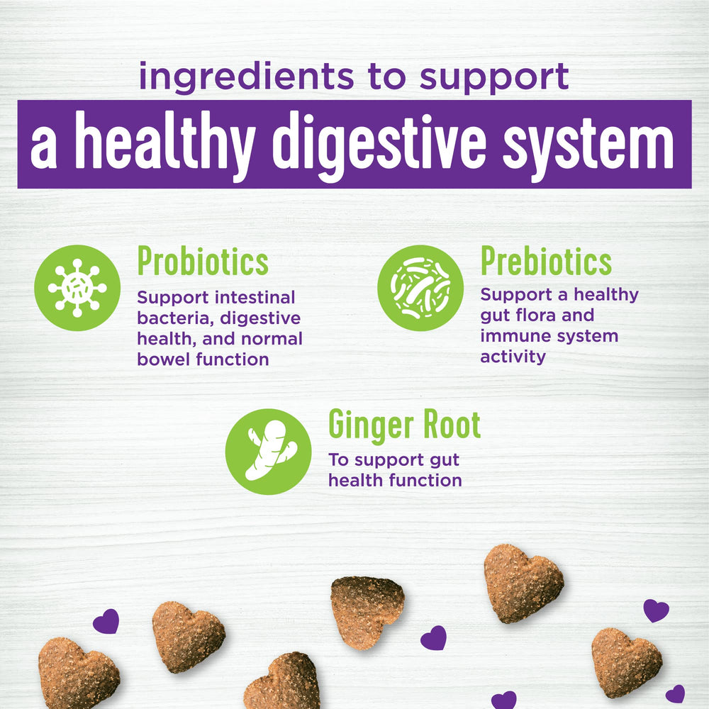 Ginger root in Wellness Pumpkin Patch supports gut health function
