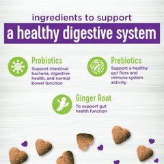 Ginger root in Wellness Pumpkin Patch supports gut health function