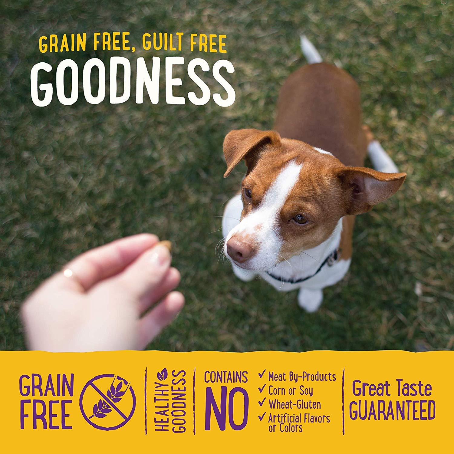USA-made certification label on Wellness Puppy Treats packaging.