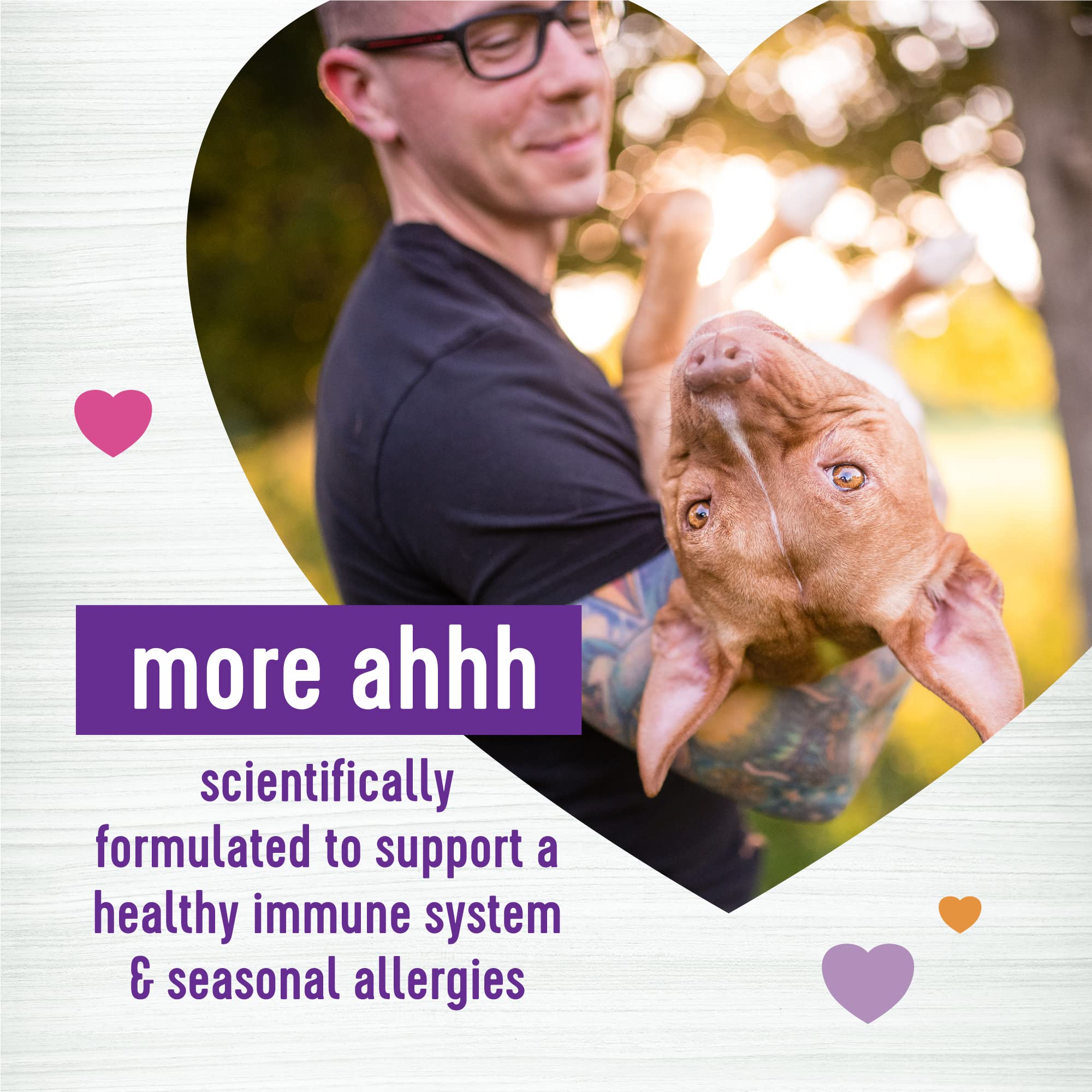 Wellness Salmon Flavored Soft Chew allergy image suggests seasonal comfort for dogs