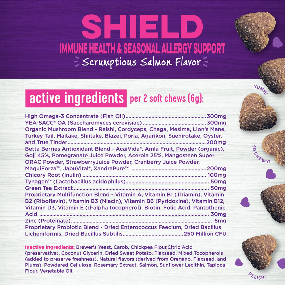 Wellness Salmon Flavored Soft Chew daily-use image for routine pet wellness