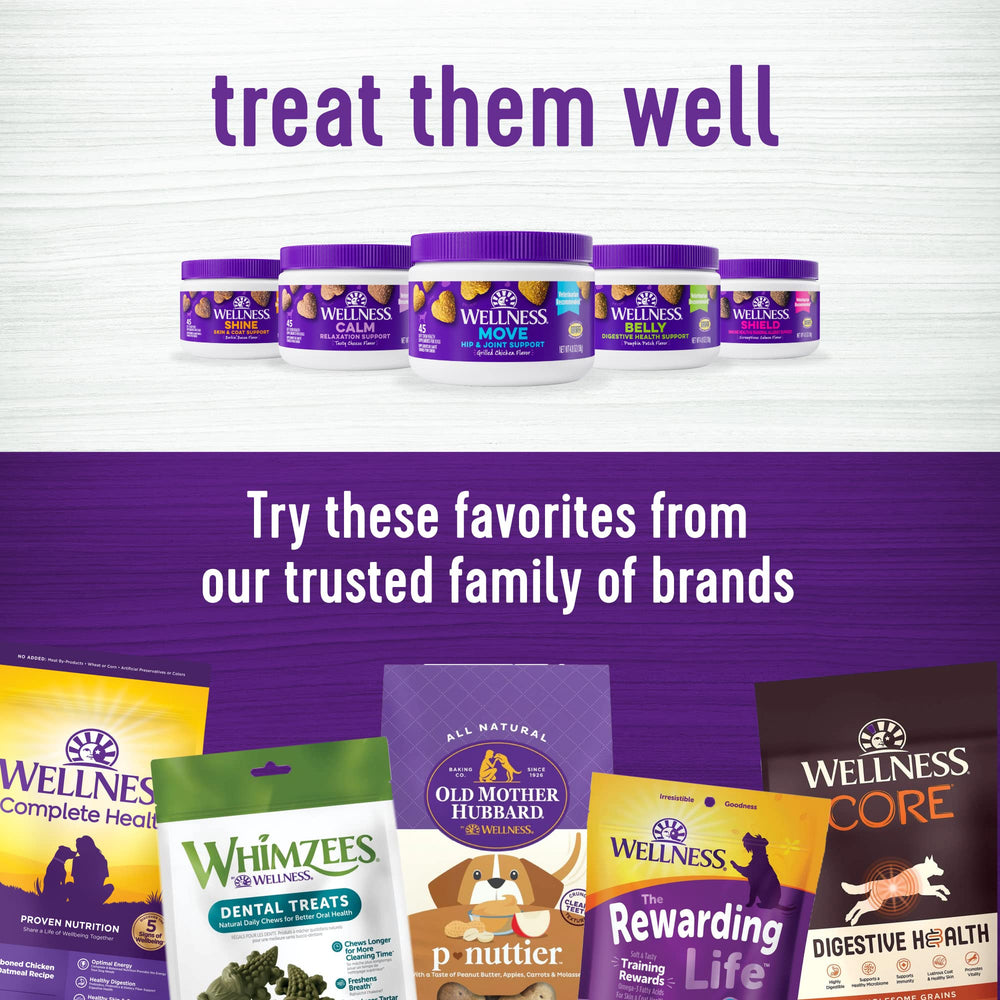 Wellness Salmon Flavored Soft Chew dog-snack image invites everyday treats