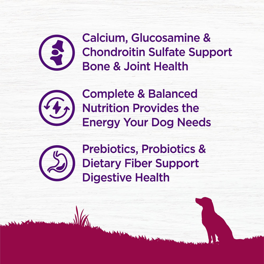 Wellness Senior dog enjoying kibble demonstrates easy portion control feeding.